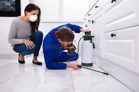 Best Pest Exclusion Services  in North Bellport, NY